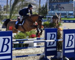 jumper Arthur Excalibur (anglo european sporthorse, 2010)