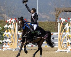 jumper Stern Dei Folletti (Holsteiner, 2011, from Toulon)