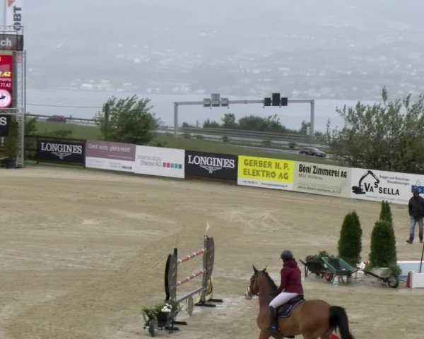 Reitturnier Wädenswil 2023