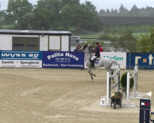 Reitturnier Wädenswil 2023