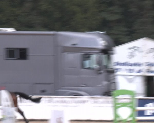 Reitturnier Ranshofen - Braunau am Inn 2023