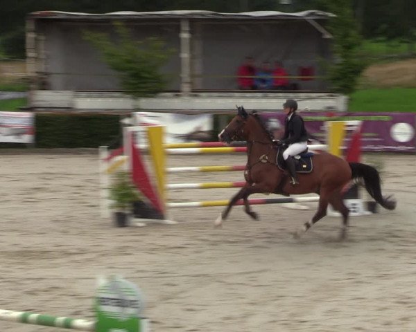 Reitturnier Monschau-Mützenich 2023