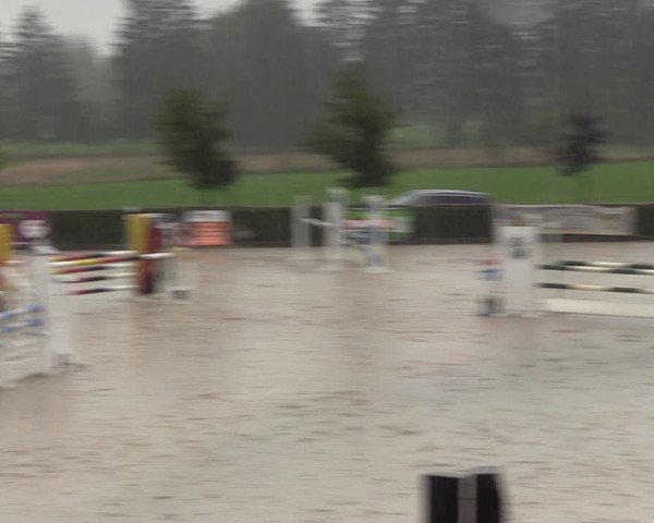 Reitturnier Monschau-Mützenich 2023
