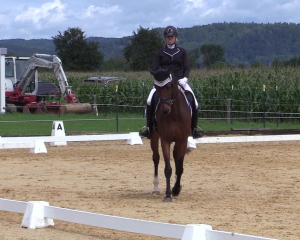 Reitturnier Ranshofen - Braunau am Inn 2023