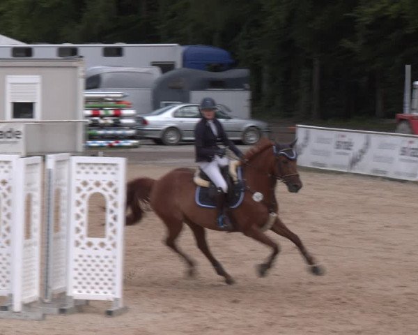 Reitturnier Ranshofen - Braunau am Inn 2023