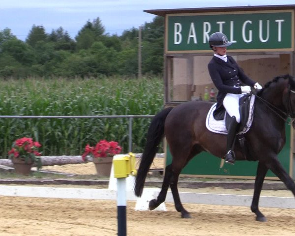 Reitturnier Ranshofen - Braunau am Inn 2023