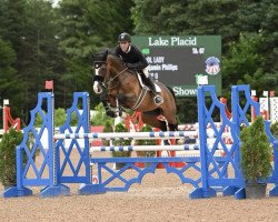 Springpferd Cool Lady (Holsteiner, 2012, von Connor 48)