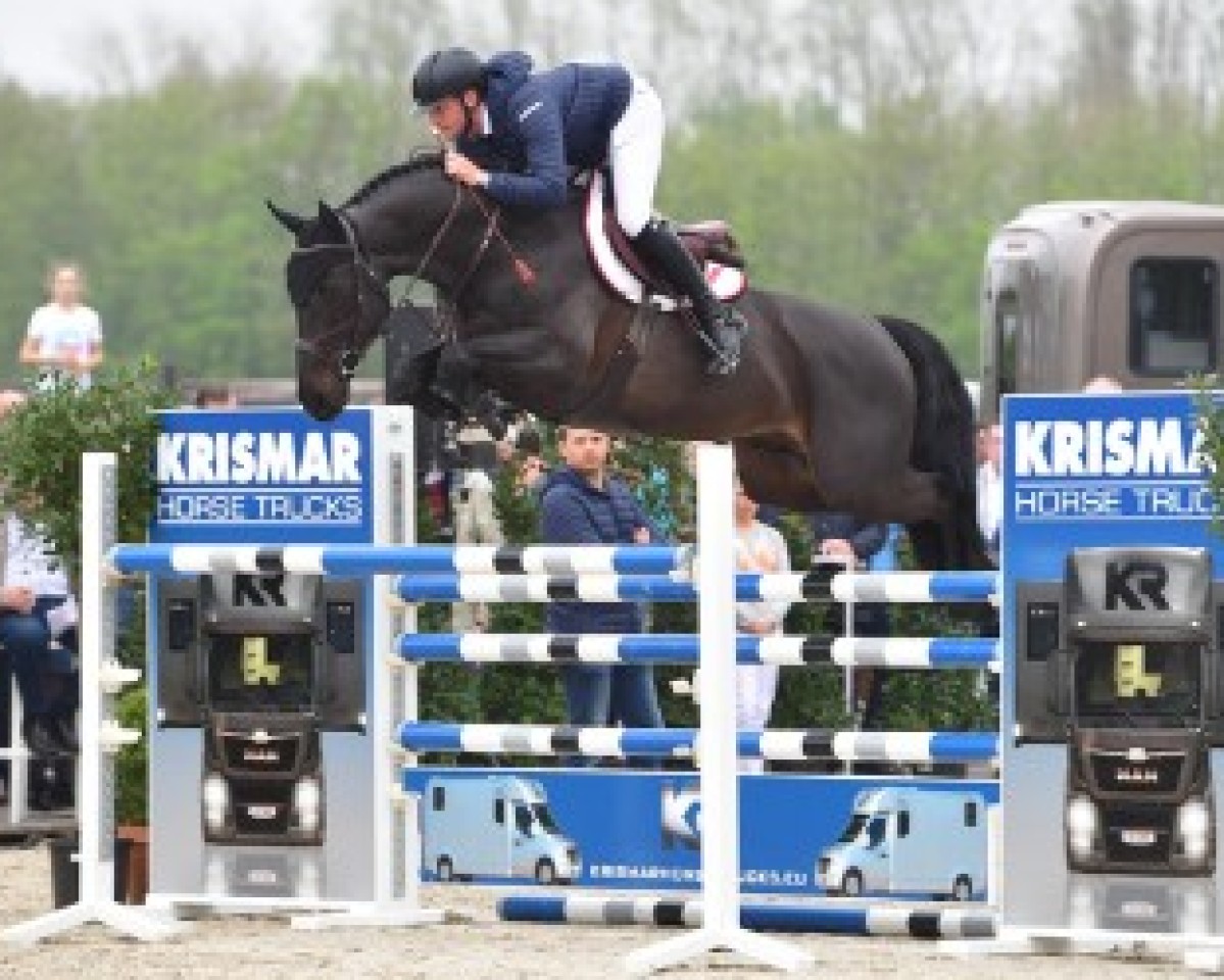 stallion Nic Nac Quality (Belgian Warmblood, 2013, from Kannan)