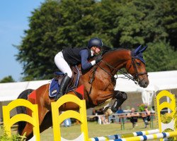 jumper Cassidy Ws (Oldenburg show jumper, 2016, from Casallco)