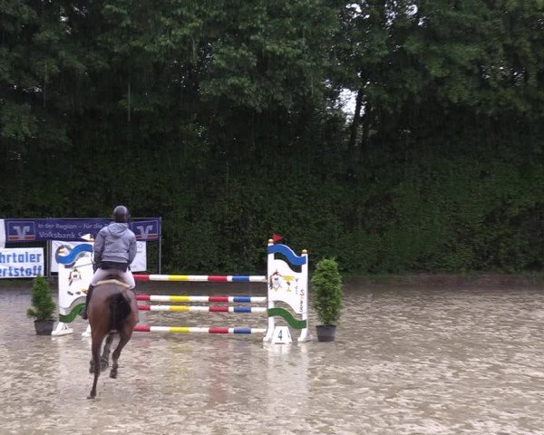 Reitturnier Arnsberg-Holzen 2023