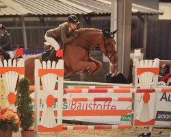 jumper Donna Dina (KWPN (Royal Dutch Sporthorse), 2008, from Ukato)