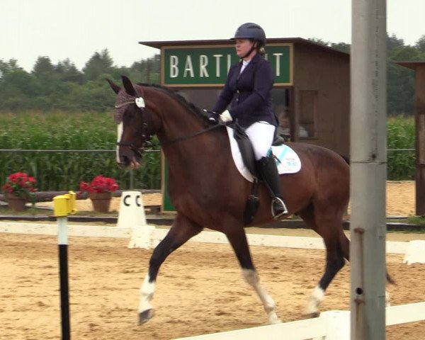 Reitturnier Ranshofen - Braunau am Inn 2023