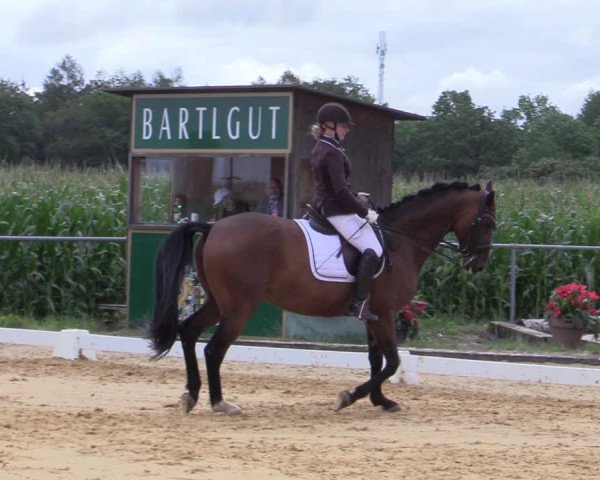 Reitturnier Ranshofen - Braunau am Inn 2023