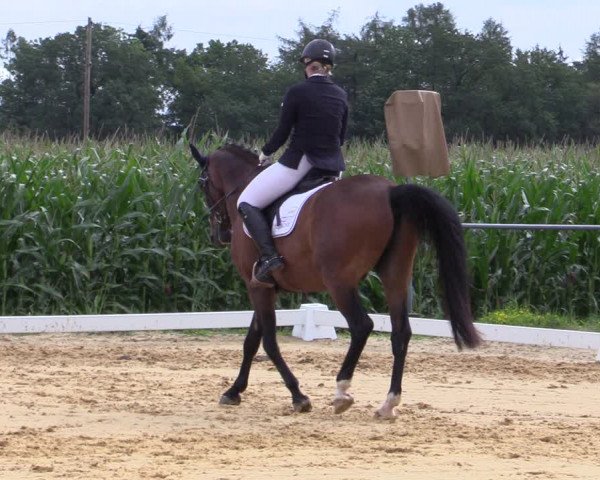 Reitturnier Ranshofen - Braunau am Inn 2023