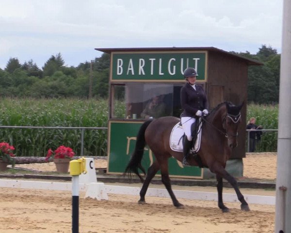 Reitturnier Ranshofen - Braunau am Inn 2023