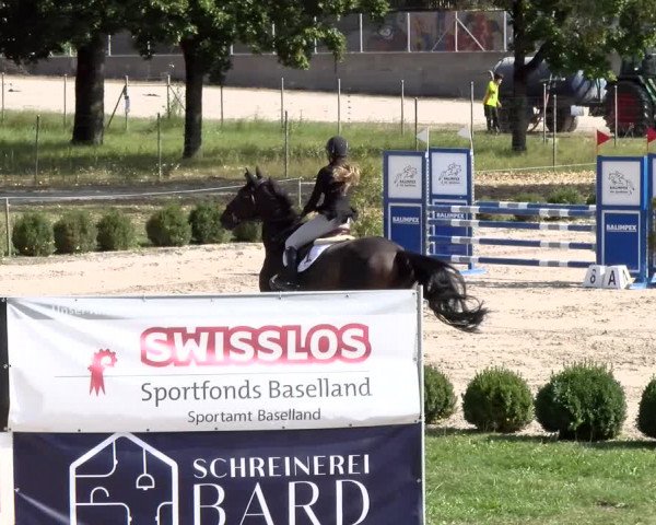 Reitturnier Basel Schänzli 2021