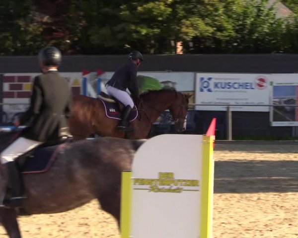 Reitturnier Behrendorf 2023