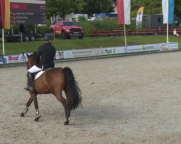 Reitturnier Grafenrheinfeld 2023