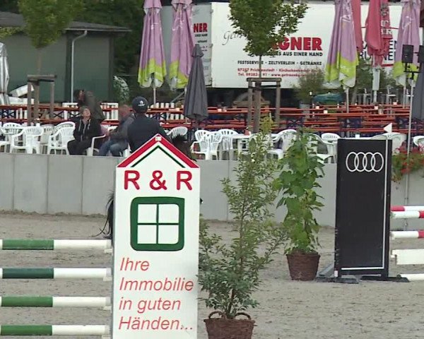 Reitturnier Grafenrheinfeld 2023