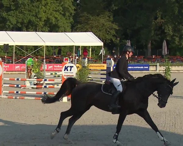 Reitturnier Grafenrheinfeld 2023