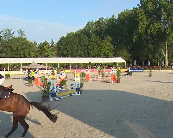 Reitturnier Grafenrheinfeld 2023