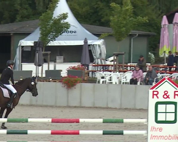 Reitturnier Grafenrheinfeld 2023