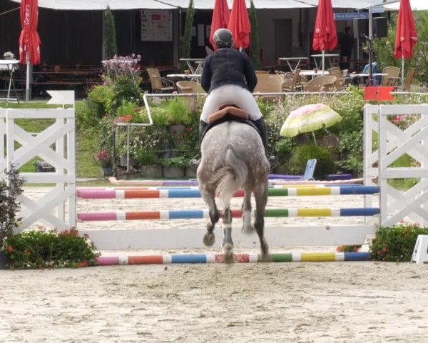 Reitturnier Oberderdingen 2023