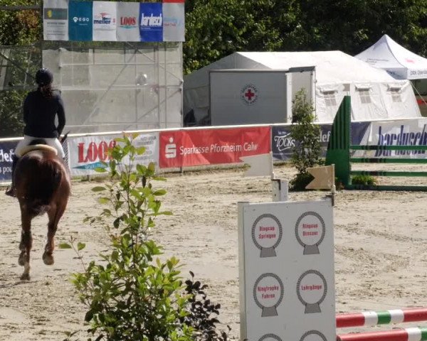 Reitturnier Oberderdingen 2023