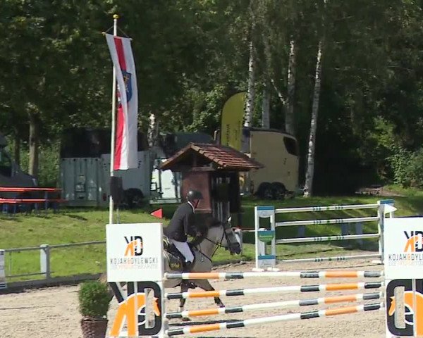 Reitturnier Grafenrheinfeld 2023