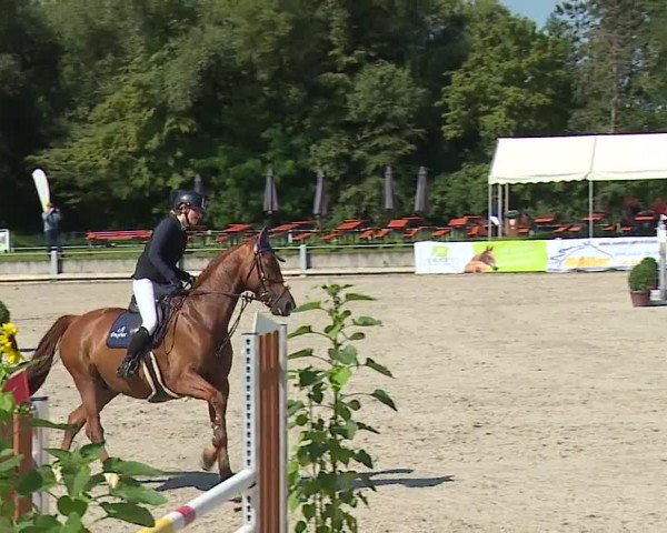Reitturnier Grafenrheinfeld 2023