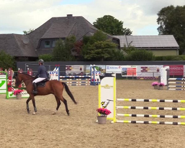 Reitturnier Behrendorf 2023