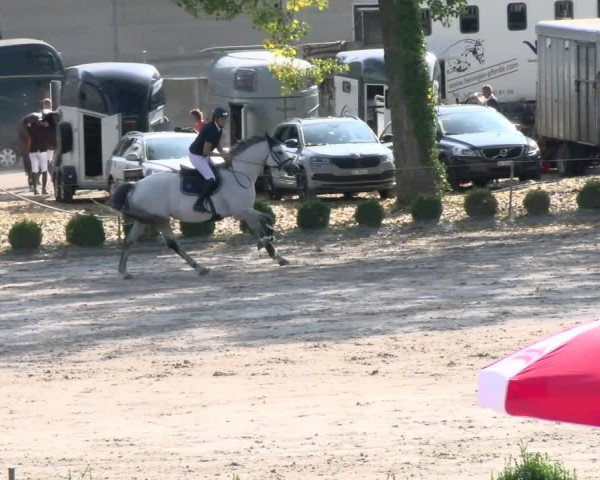 Reitturnier Basel Schänzli 2021