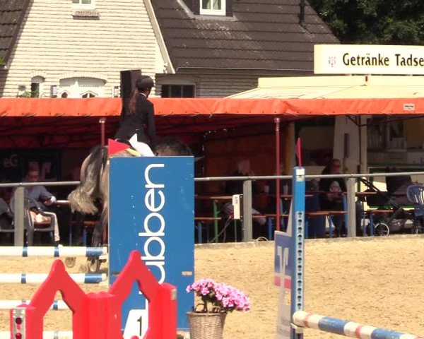 Reitturnier Behrendorf 2023