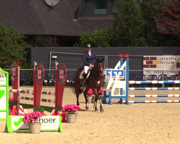 Reitturnier Behrendorf 2023
