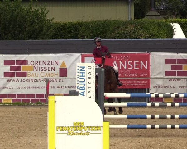 Reitturnier Behrendorf 2023