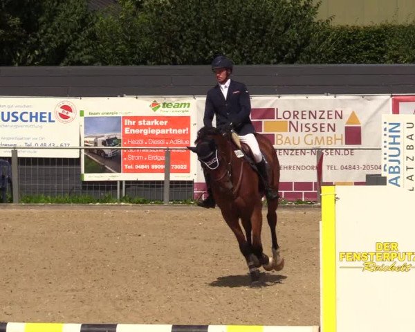 Reitturnier Behrendorf 2023