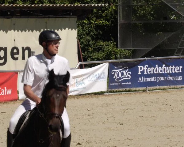 Reitturnier Oberderdingen 2023