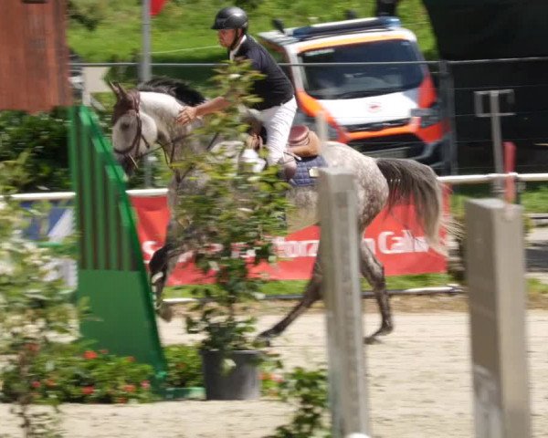 Reitturnier Oberderdingen 2023