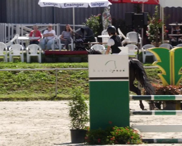 Reitturnier Oberderdingen 2023