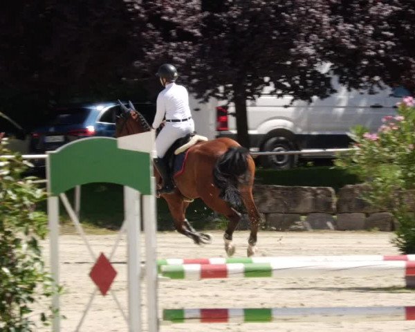 Reitturnier Oberderdingen 2023