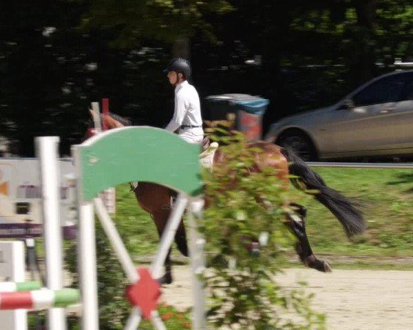 Reitturnier Oberderdingen 2023
