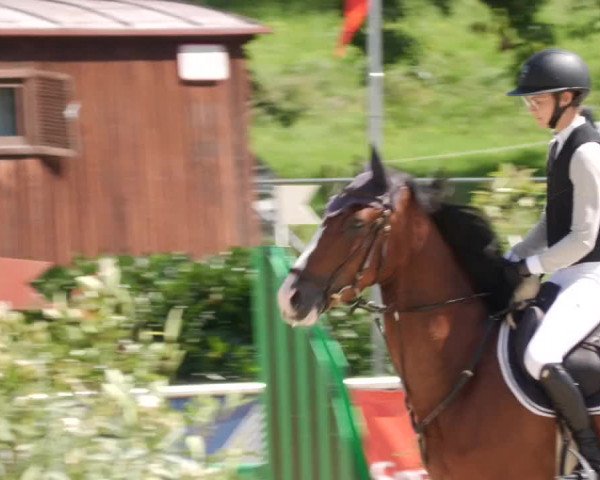 Reitturnier Oberderdingen 2023