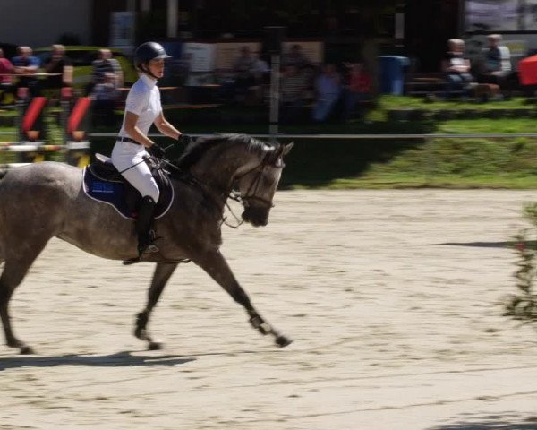 Reitturnier Oberderdingen 2023