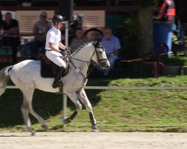 Reitturnier Oberderdingen 2023