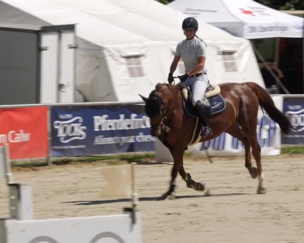 Reitturnier Oberderdingen 2023