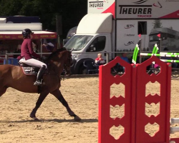 Reitturnier Behrendorf 2023