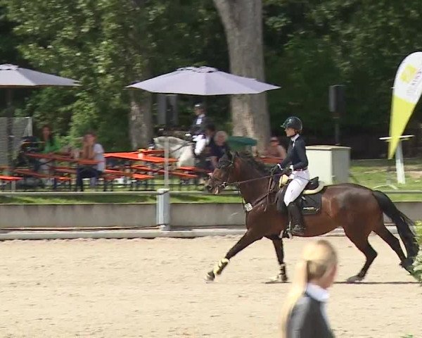 Reitturnier Grafenrheinfeld 2023
