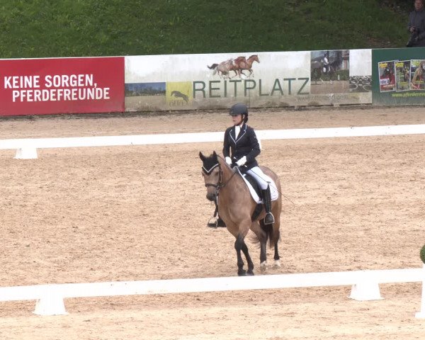Reitturnier Stadl-Paura 2023
