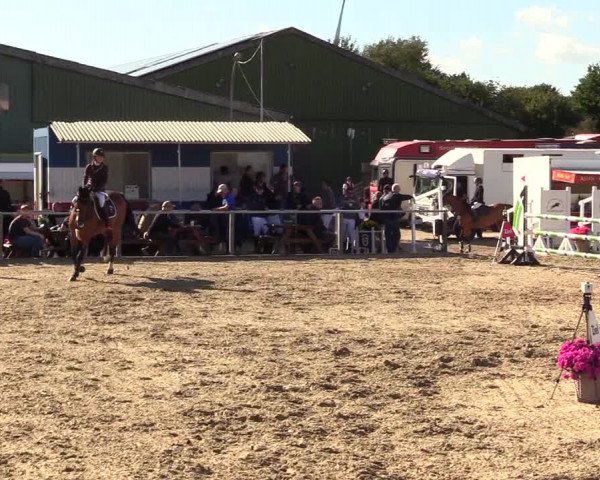 Reitturnier Behrendorf 2023