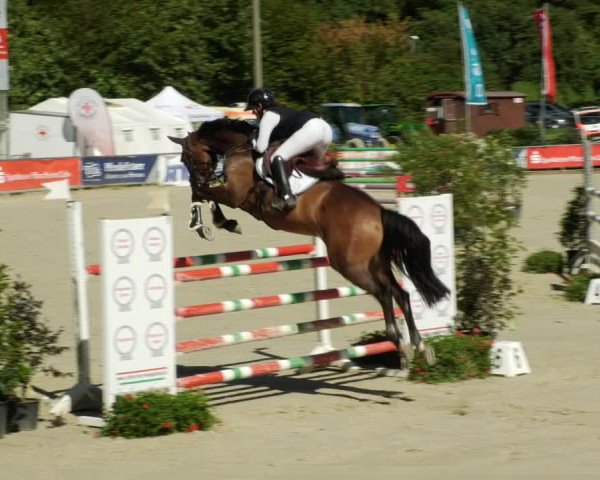 Reitturnier Oberderdingen 2023